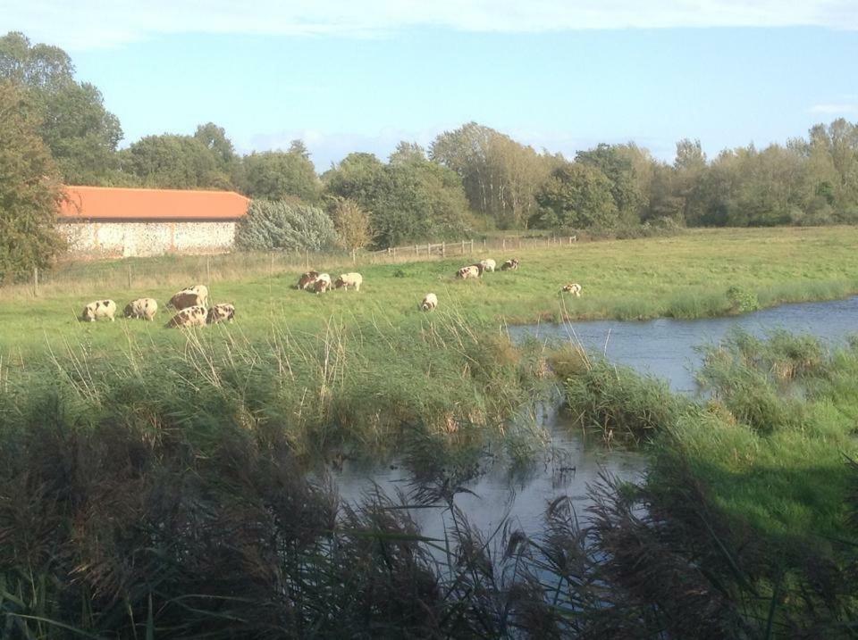 Lackford Lakes Barns Flempton Buitenkant foto